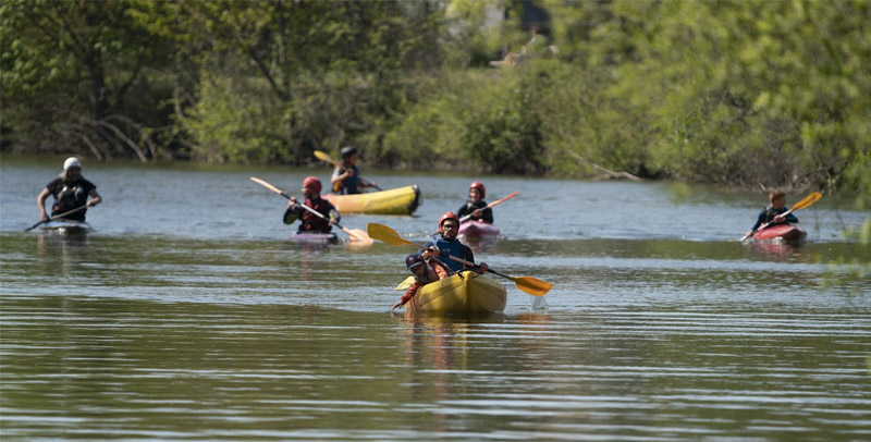 Participants naviguant en canoë sur la Sarthe avec le Canoë-Kayak Club du Mans, une activité rafraîchissante à quelques minutes du centre-ville.