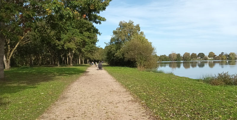 Sentier de promenade au bord du plan d'eau de la Gémerie à Arnage, près du Mans, un lieu idéal pour marcher et profiter de la fraîcheur en été.
